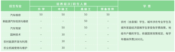 圖片 15