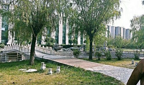 會(huì)計(jì)專業(yè)課程怎么樣？   