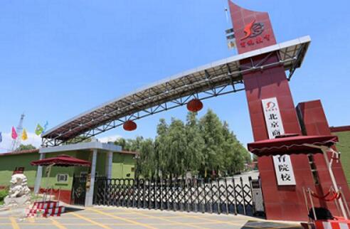 北京商鯤學(xué)院可以學(xué)習(xí)高鐵乘務(wù)專業(yè)嗎？