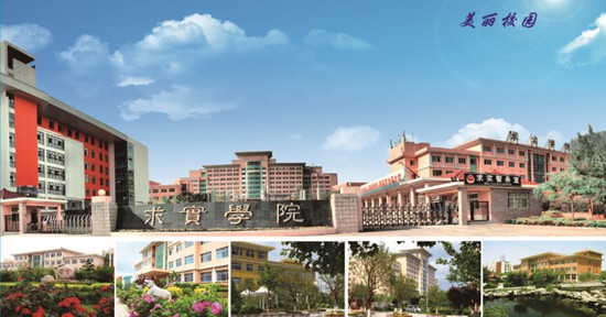 有沒有正規(guī)的航空學(xué)校？   