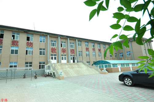 滄州國興職業(yè)技術(shù)學(xué)校哪些專業(yè)比較不錯(cuò)？