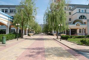 煙臺工貿技師學院能學數控銑工嗎？