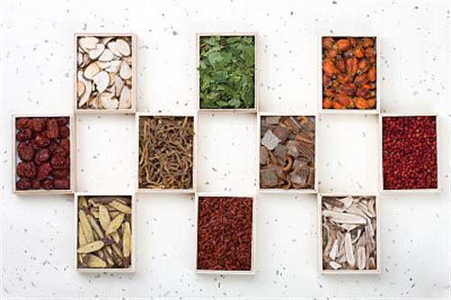 山東醫(yī)藥技師學(xué)院中藥系專業(yè)有哪些？