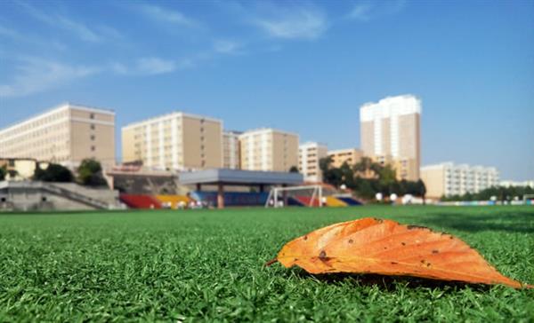 東營(yíng)市技師學(xué)院怎么樣？