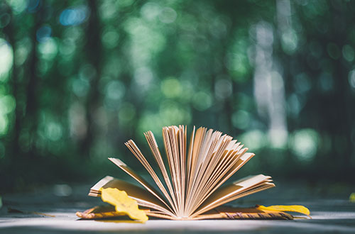 臨沂能源學(xué)校怎么樣？學(xué)校的就業(yè)情況怎么樣？