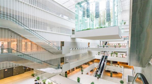 石家莊迅騰軟件學(xué)院都開設(shè)哪些專業(yè)？