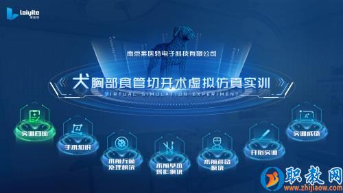 動物手術(shù)虛擬仿真實訓(xùn)教學(xué)系統(tǒng)，解決畜牧獸醫(yī)人才培養(yǎng)難題