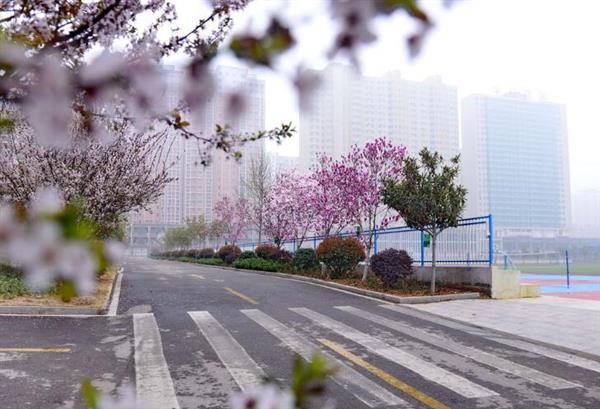 河北大學(xué)新世紀(jì)函授站成人高考輔導(dǎo)班怎么樣？