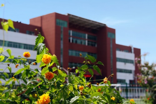 通過單招考取大學(xué)有哪些優(yōu)勢？