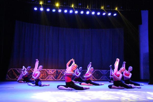 臨沂藝術學校的幼師專業(yè)學下哪些課程？