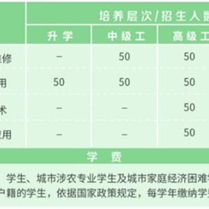 信息技術(shù)系