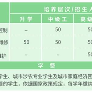 電氣化自動(dòng)系