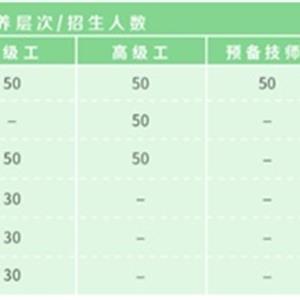 汽車工程系