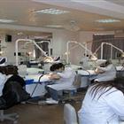 口腔醫(yī)學(xué)（專(zhuān)、本科）