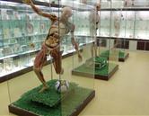 山東煤炭衛(wèi)生學(xué)校（濟南校區(qū)）實驗室、宿舍